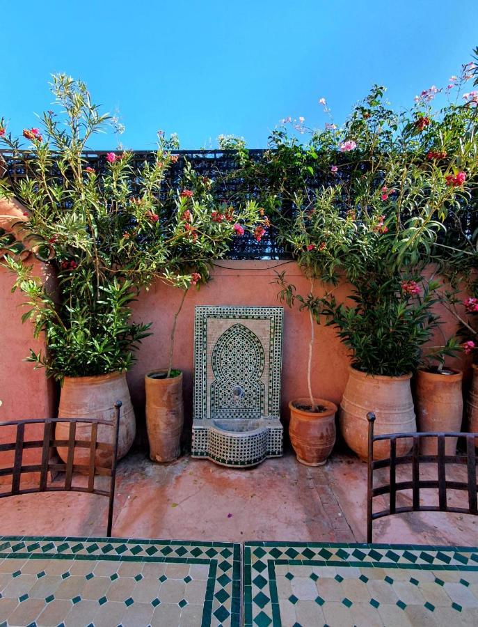 Chameau Fdc Riad Marrakesh