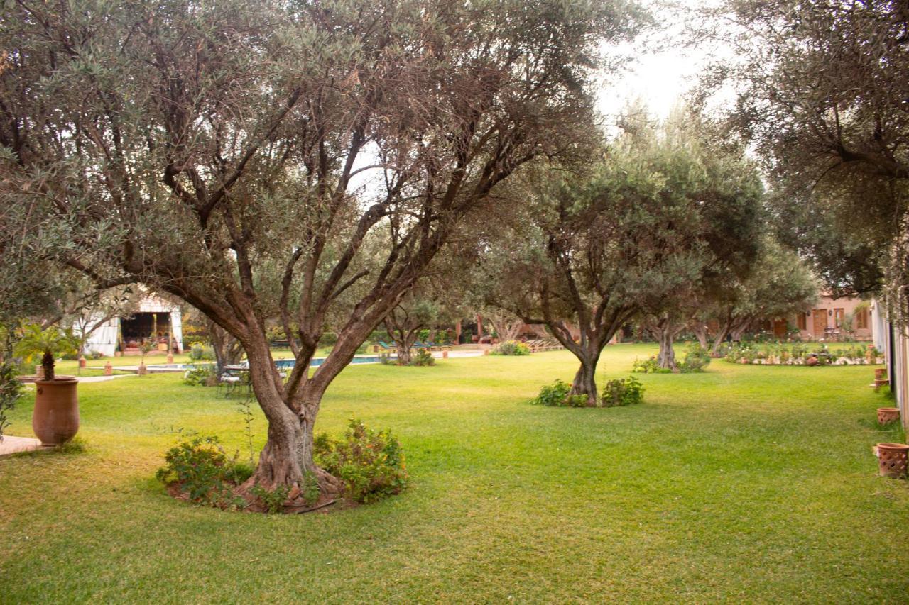 Greenlife Marrakech Affittacamere Marrakesh