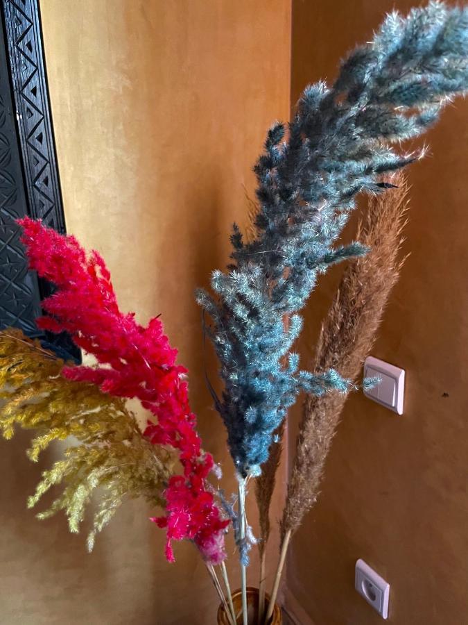 Riad Chez Amazigh Riad Marrakesh