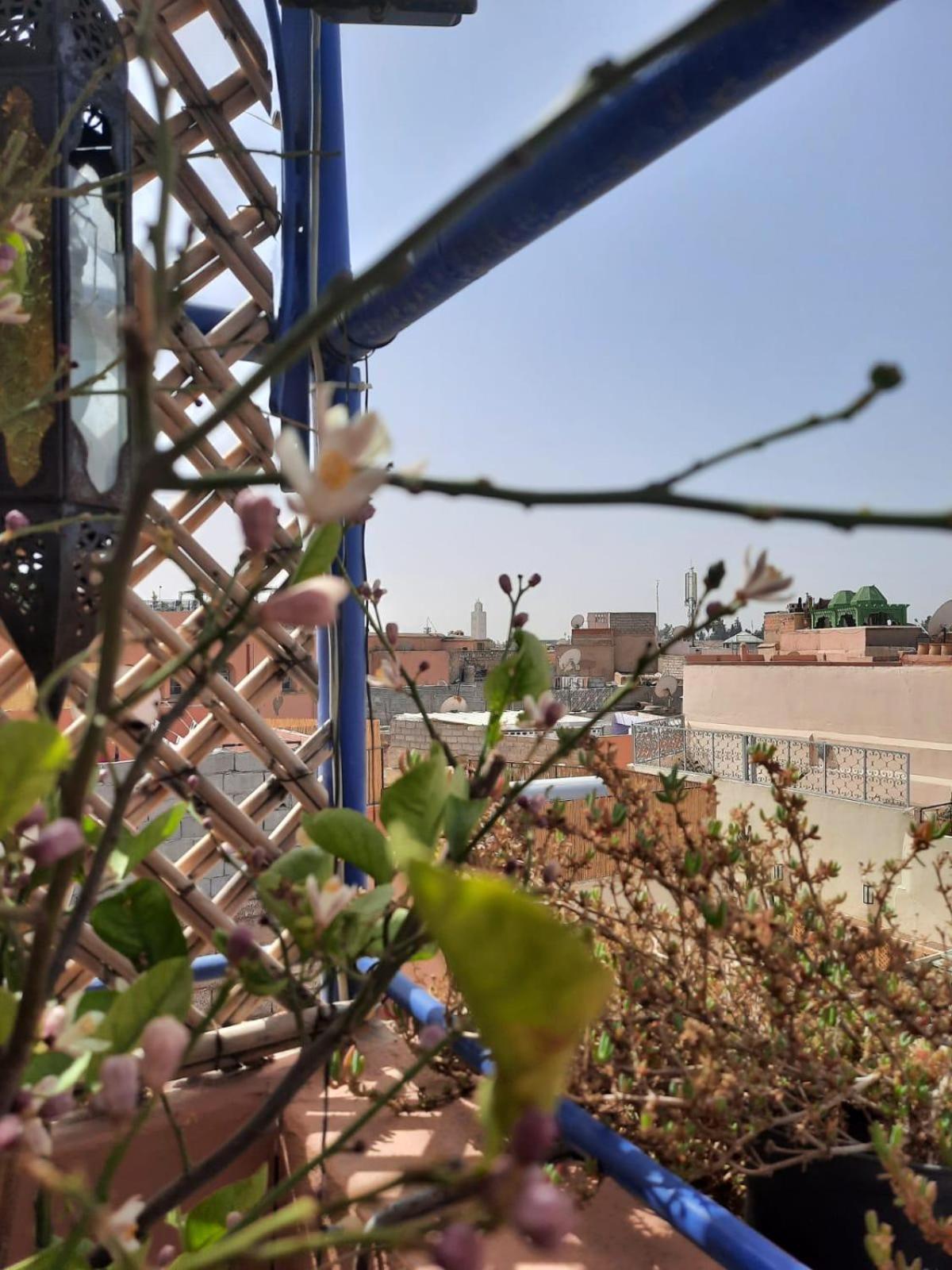 Privatunterkunft Dar Khalid Marrakesch