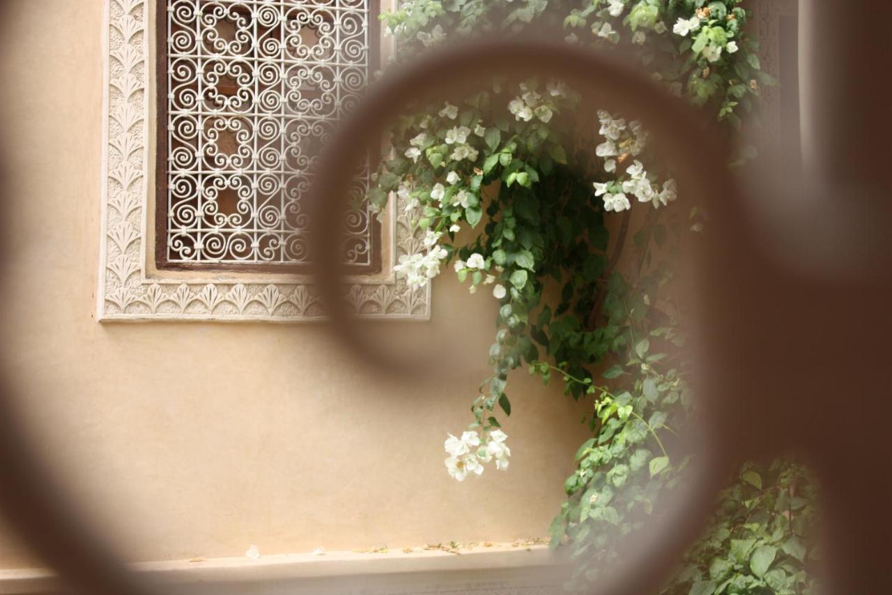 Riad Lorsya 4*