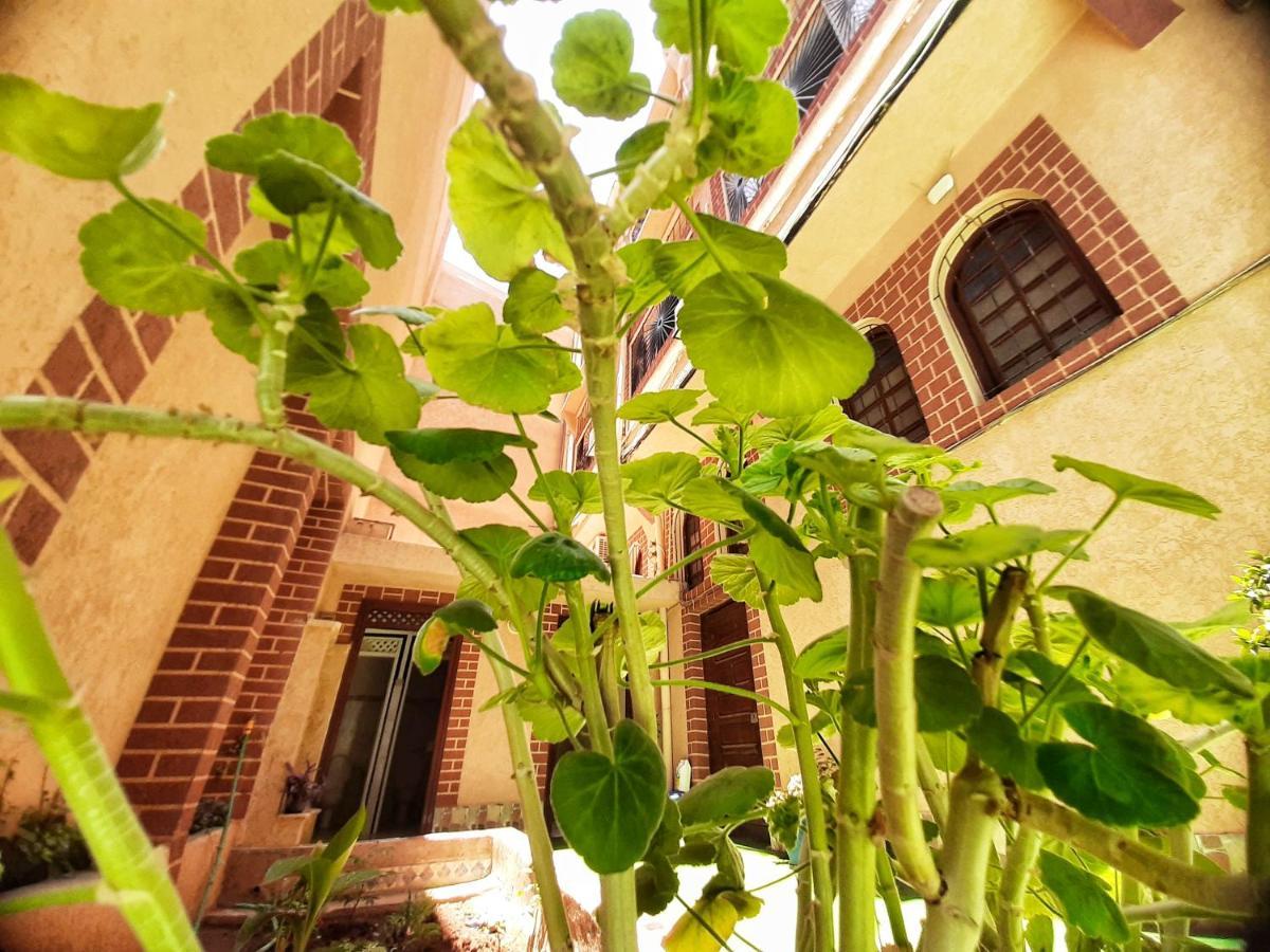 Touristique Koutoubienne * Marrakesch