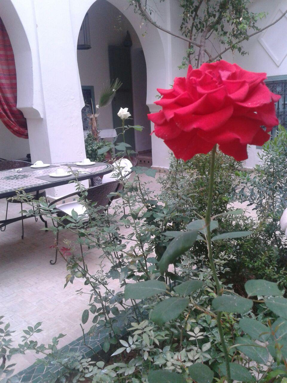 Riad Dar Bounouar Marrakesh