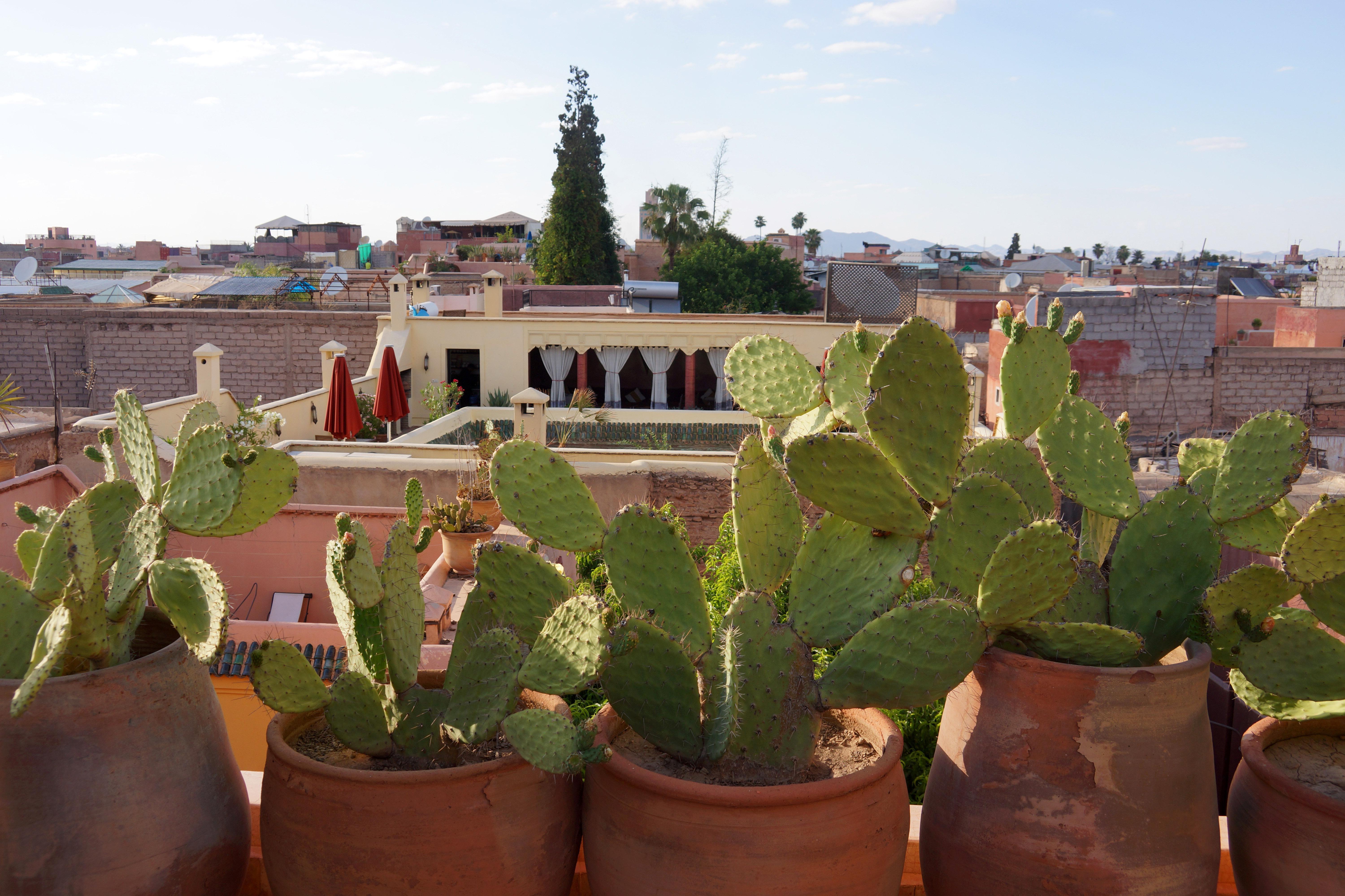 Marrakiss Riad Marrakesch