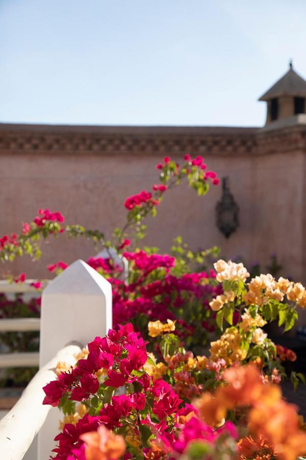 Feinek. Intimate In The Medina. Marrakesh