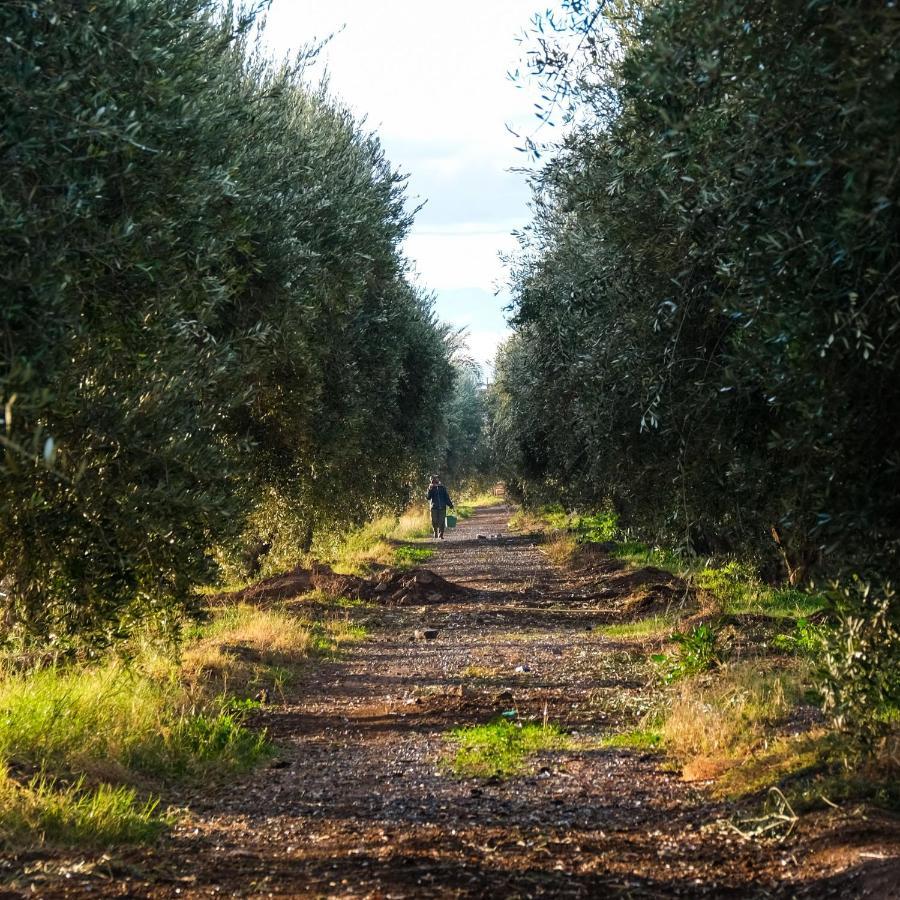 Bakkal Farm Agrolodge Lodge Marrakesh