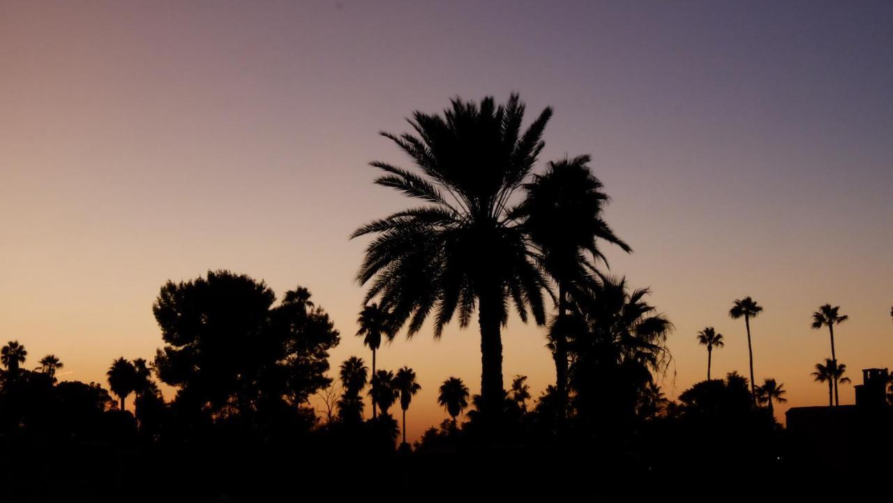 Nafis Marrakesh