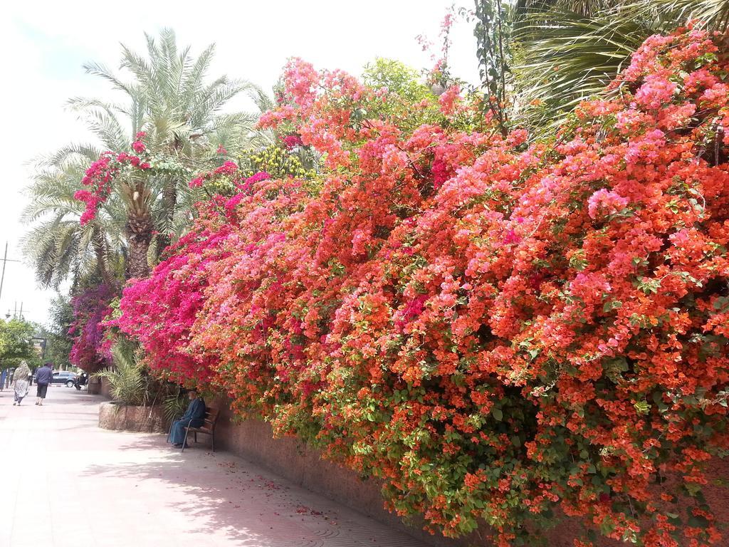 Des Etoiles Riad Marrakesh