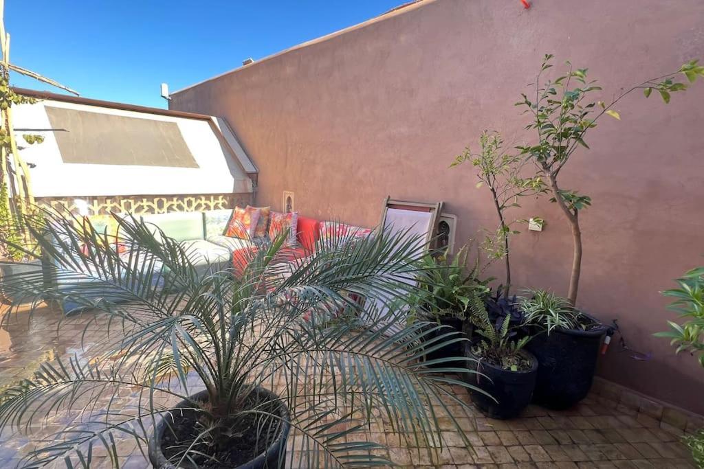 Central Entire And Exclusive House ,ryad No Shared * Marrakesch