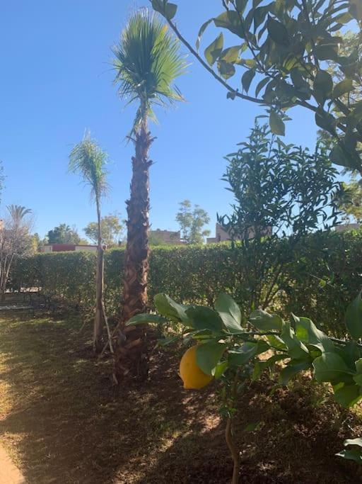 Ily Marrakech Avec Piscine Et Vue Sur L'altas : Coup De Coeur! Villa