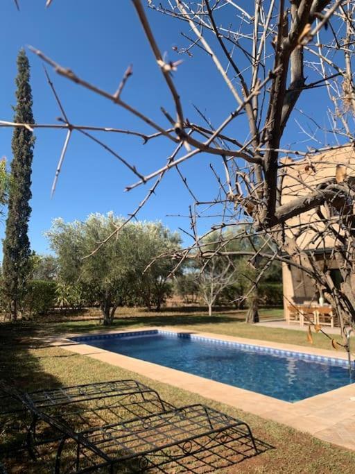 Ily Marrakech Avec Piscine Et Vue Sur L'altas : Coup De Coeur!