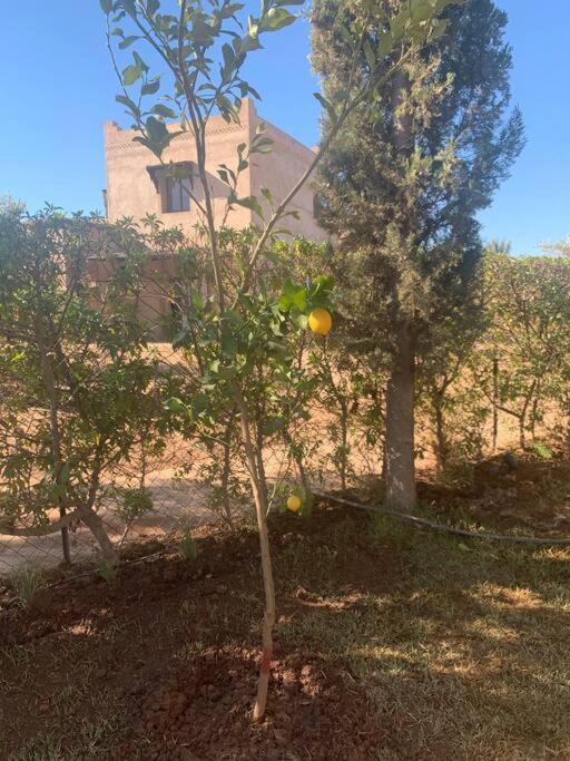 Villa Ily Marrakech Avec Piscine Et Vue Sur L'altas : Coup De Coeur!