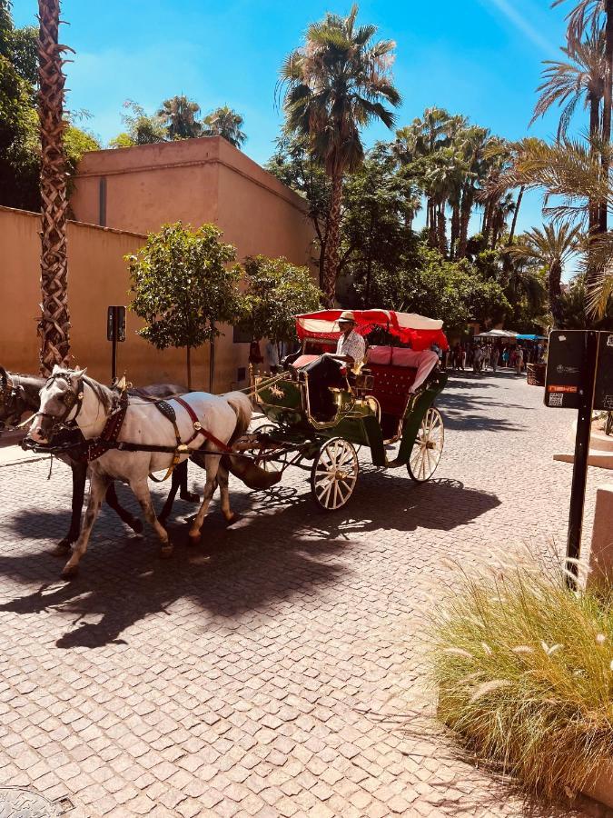 Appartamento Mirador Majorelle *