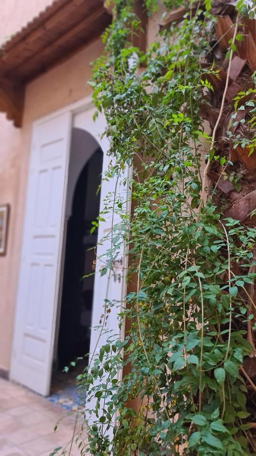 Auberge de jeunesse Laksour
