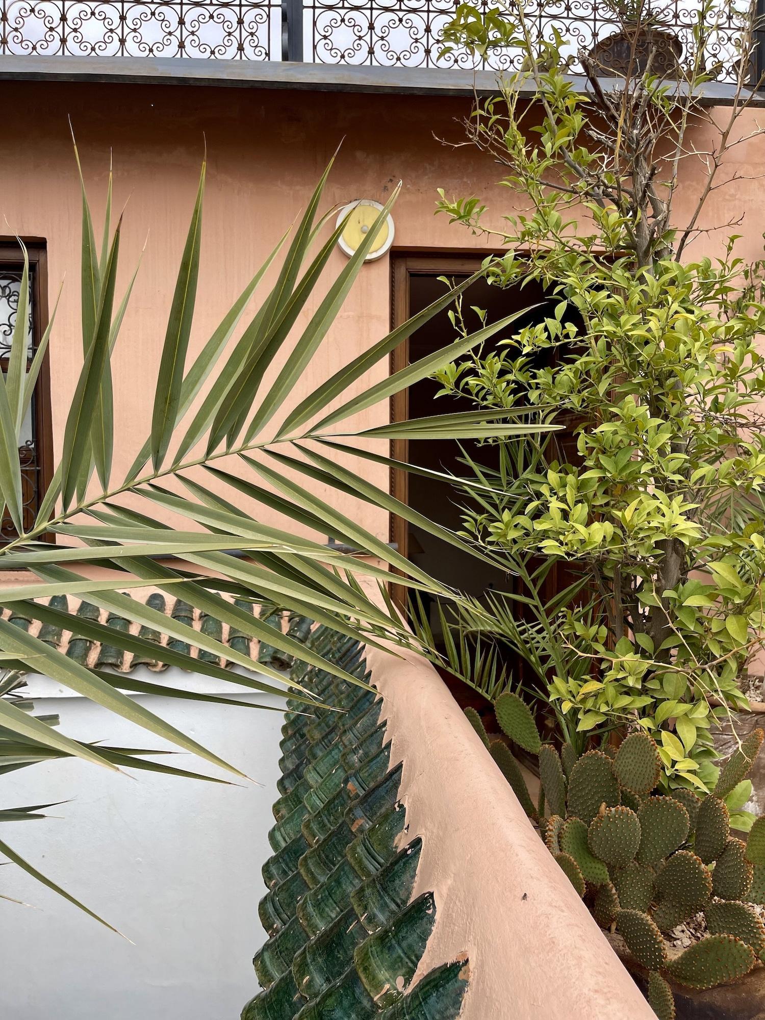 Riad Elias & Spa
