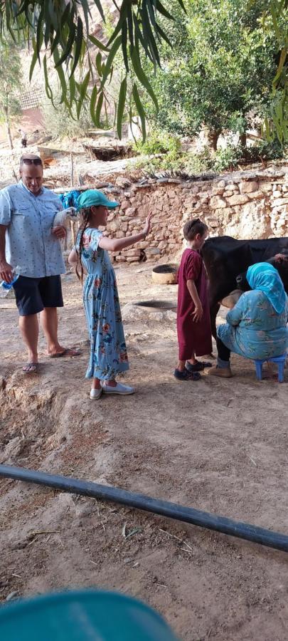 Saida Berber House Alloggio in famiglia