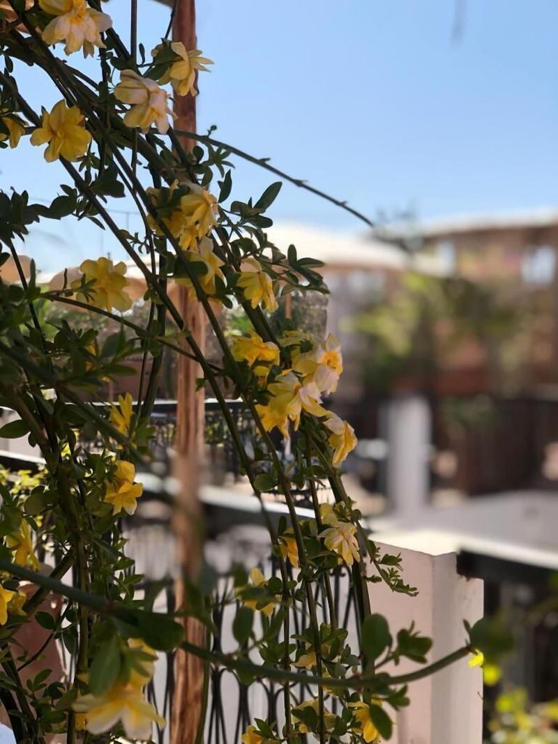 Riad Bliss