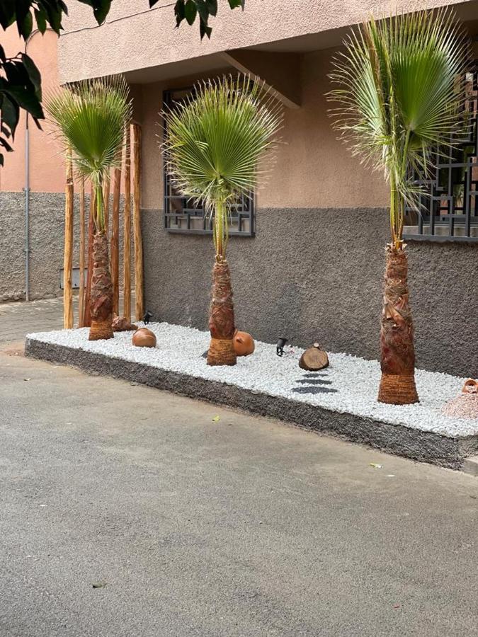 Riad La Petite Majorelle