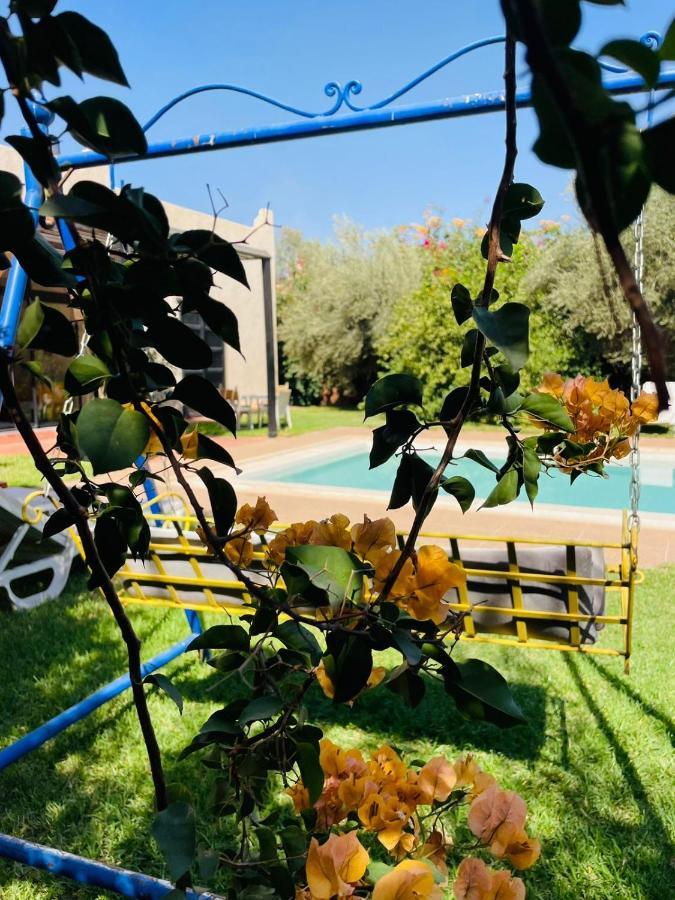 Msholidays Victoria Privatisee Marrakech Villa