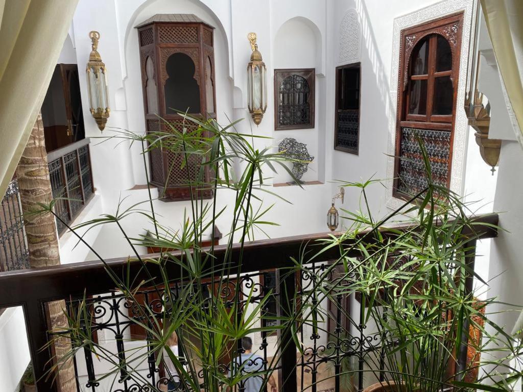 Petit Palmier Marrakesh