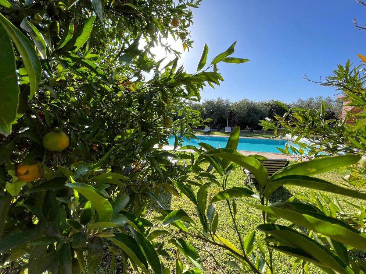 Villa Authentic Ideal For 16+ Guests