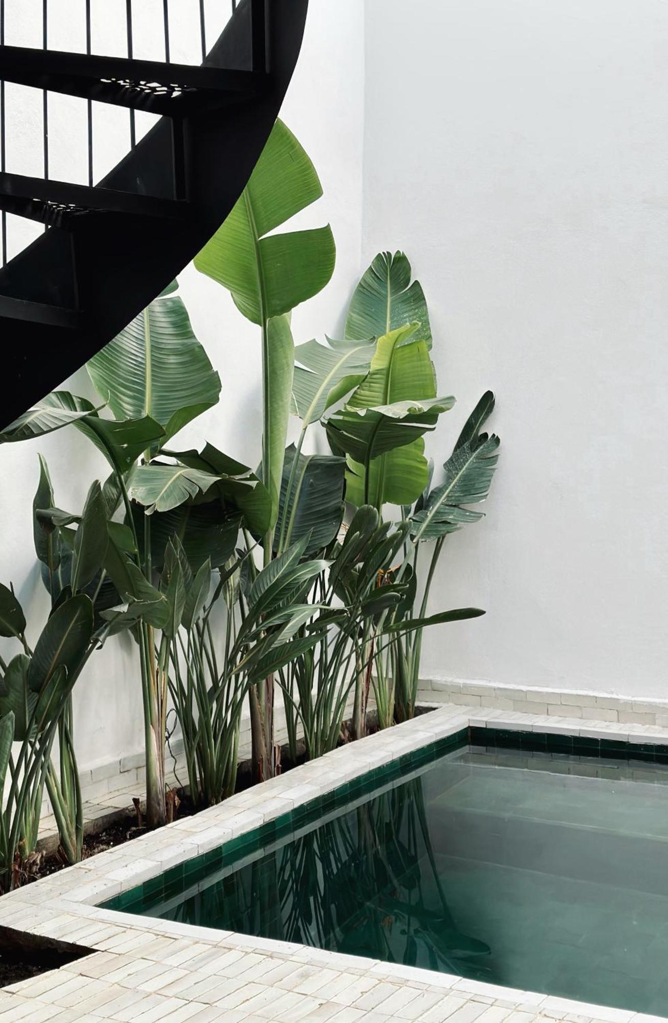 Hébergement de vacances De L'o / Serene Designer Oasis ~ Pool ~ Rooftop *