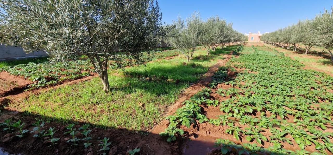 Villa Dar Morad Entiere Avec Piscine Privee Ds Ferme De 4ha