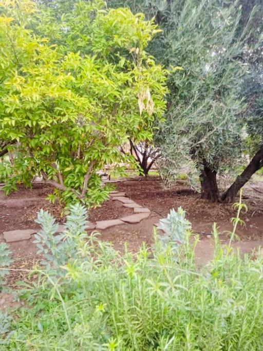 Safran Villa Marrakesch
