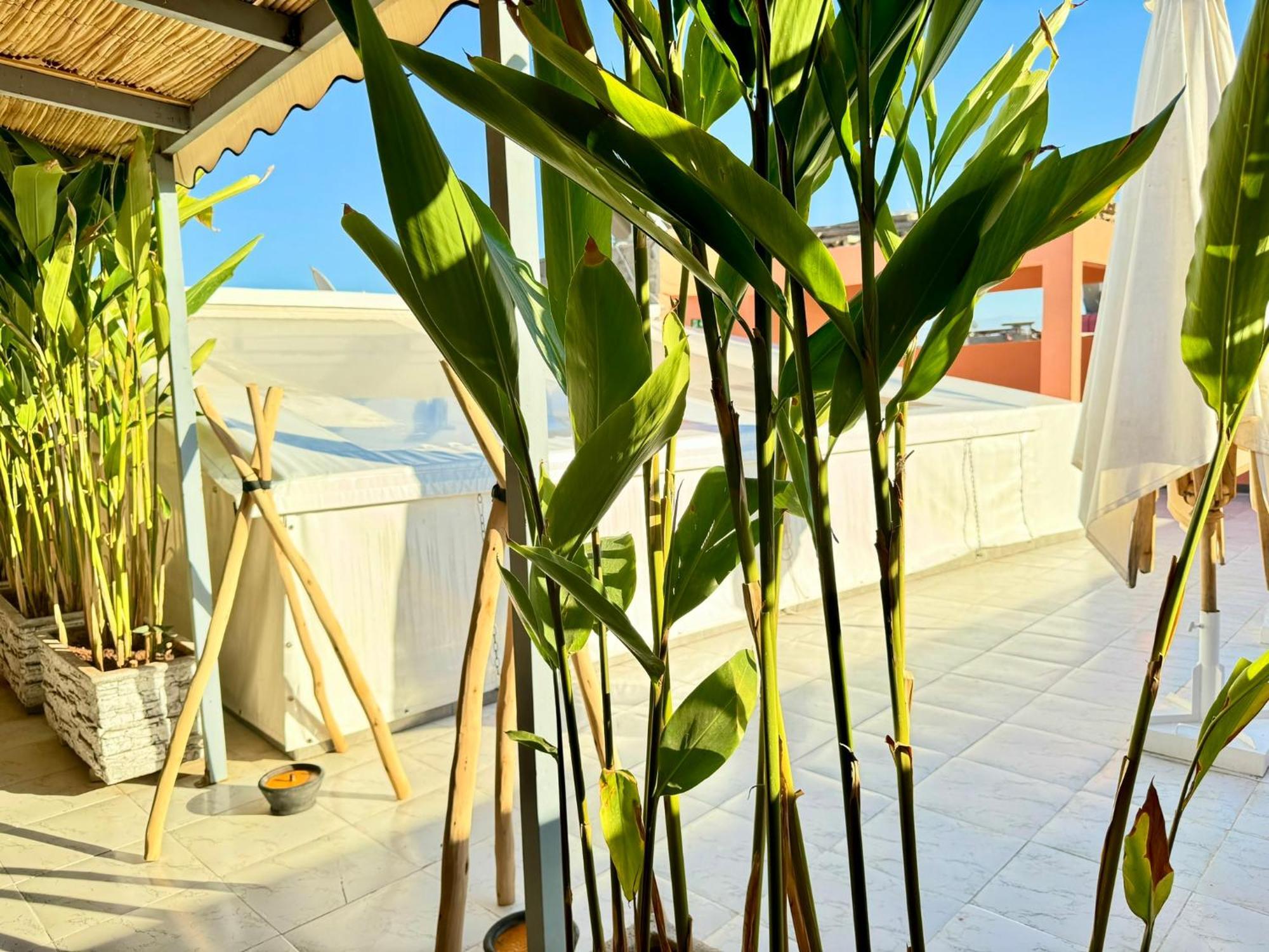 Guest house Arrahma