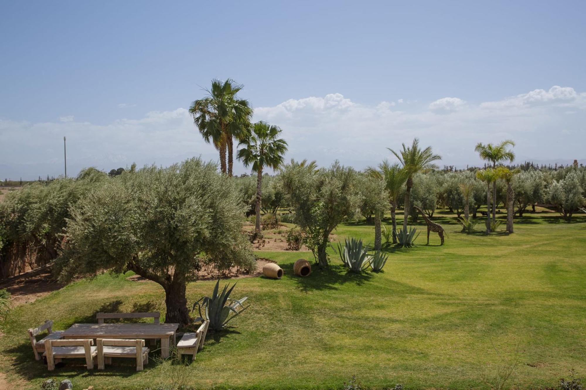 Mish-mish Marrakesh