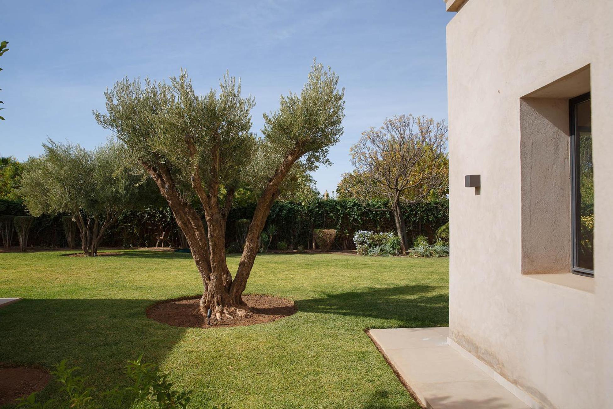 Douwart Marrakesh