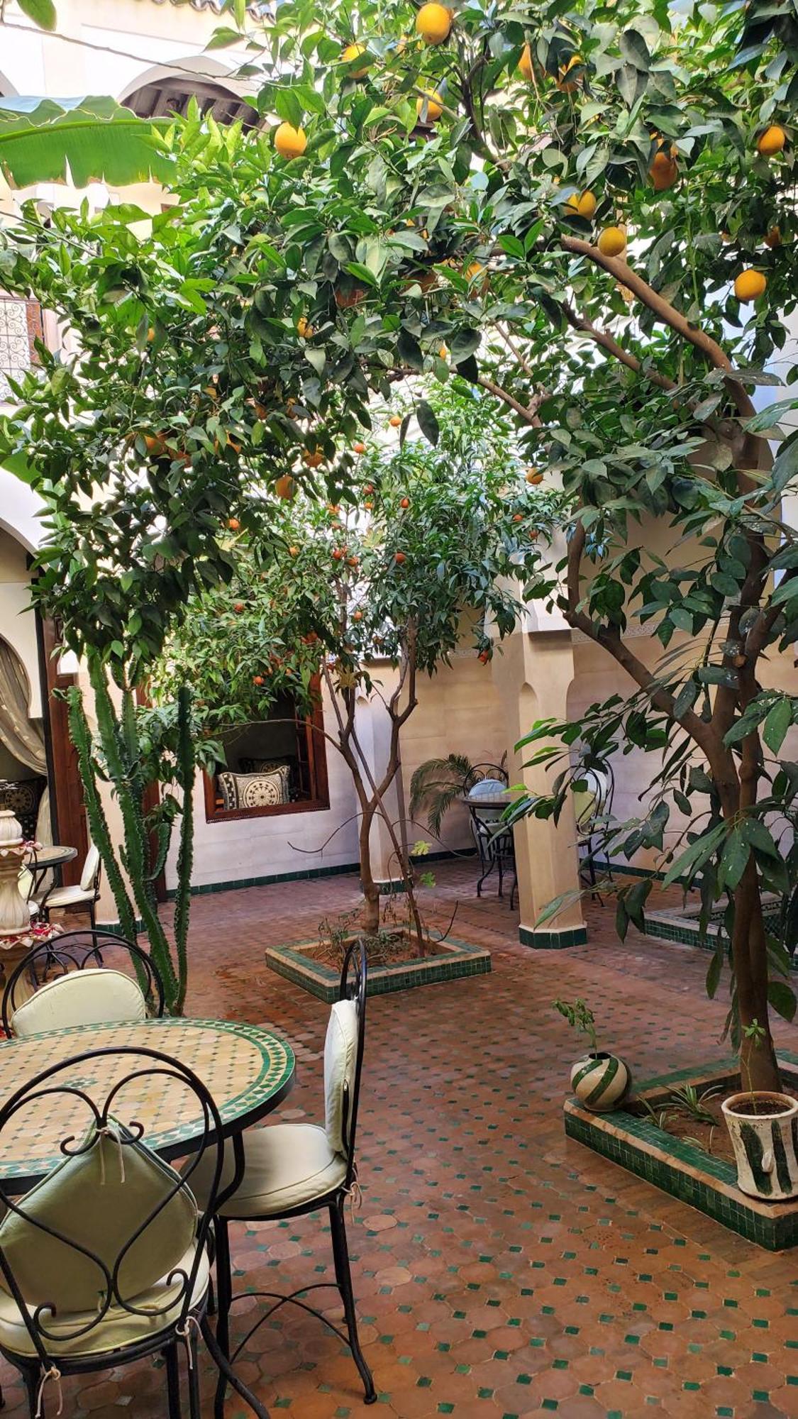 Tidar By Expert Gestion Marrakesh