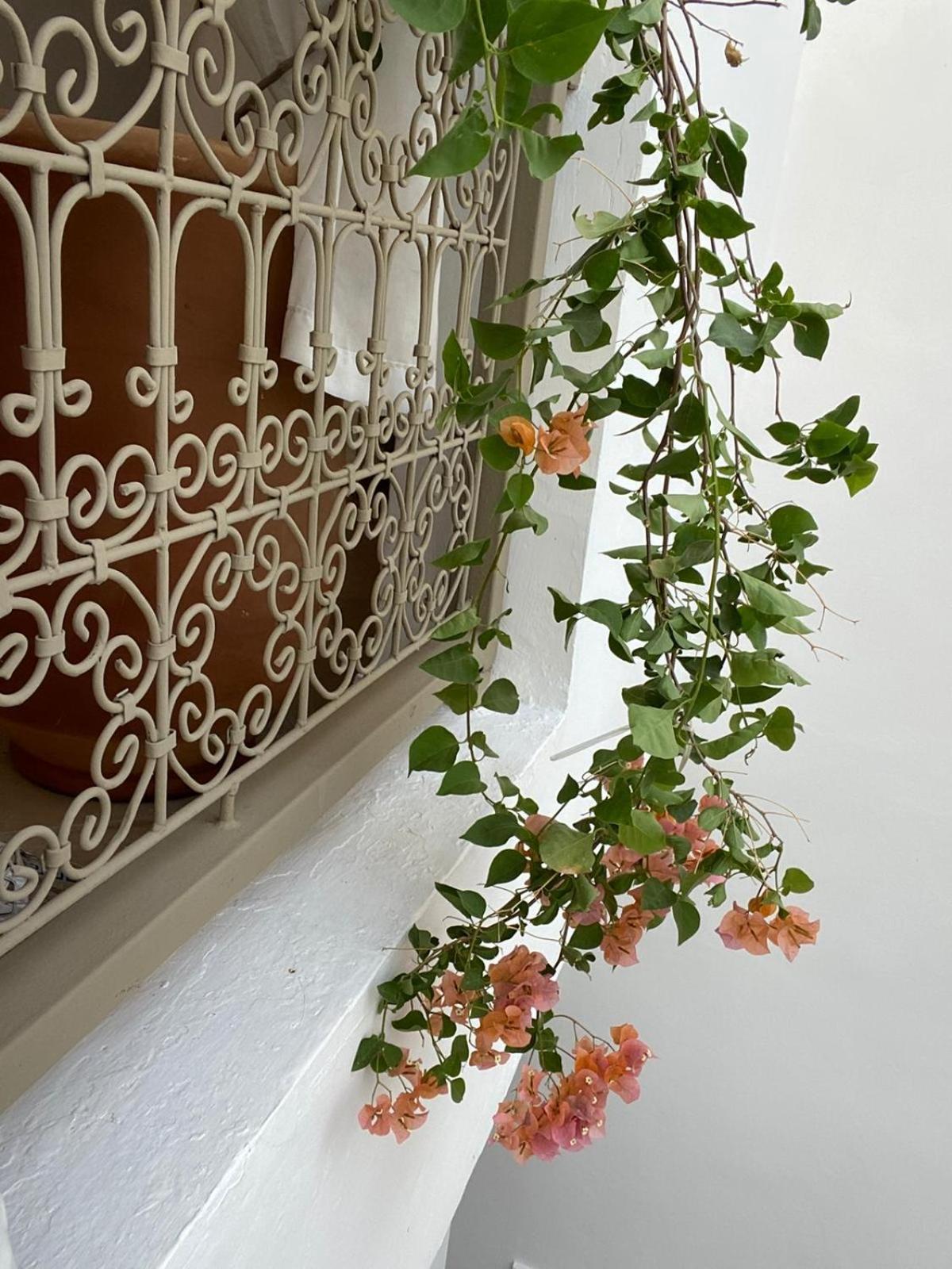 Riad Private House Arlette Exclusive Marrakesh
