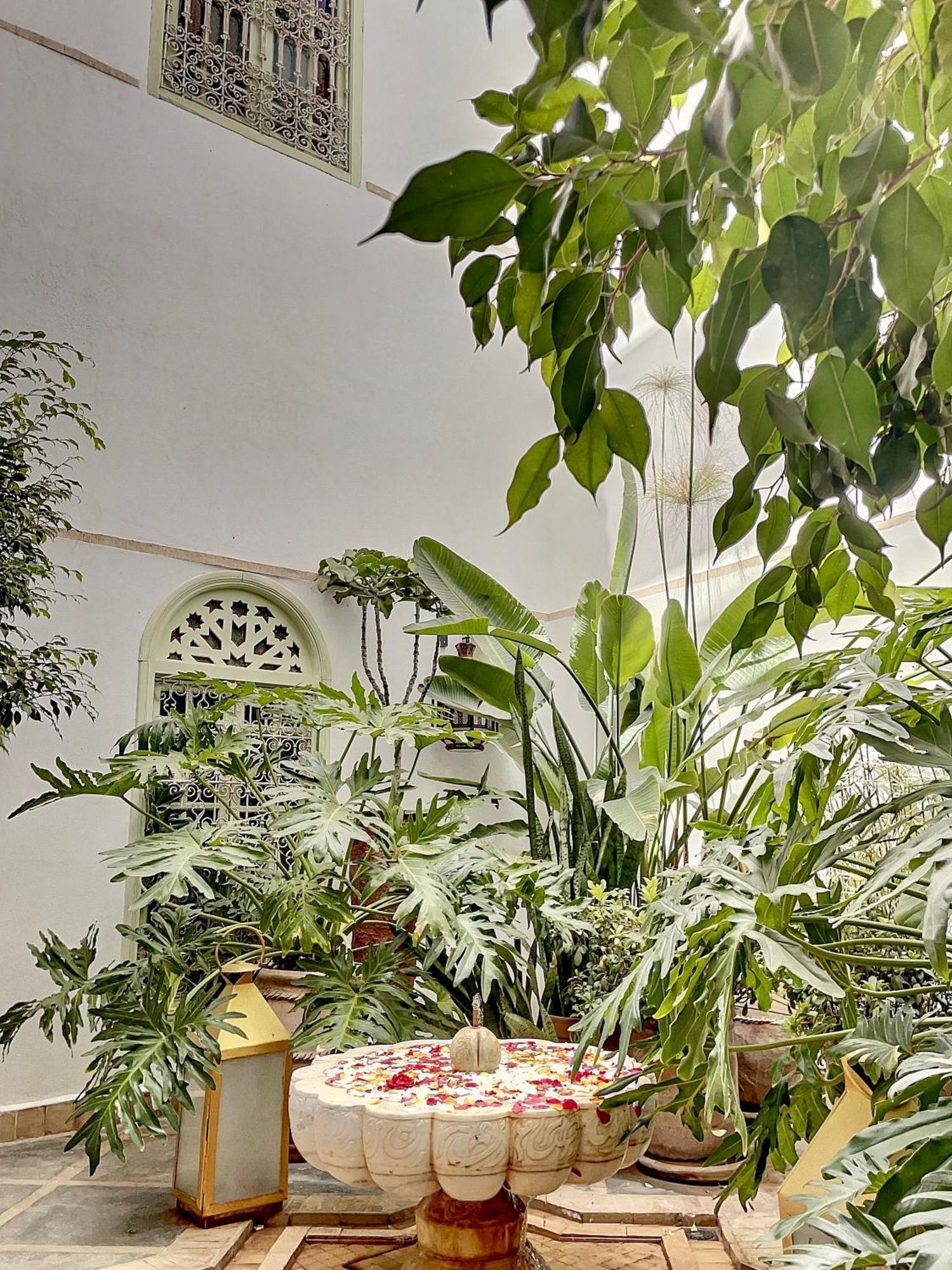 Dar Chacha Couette-café Marrakesh