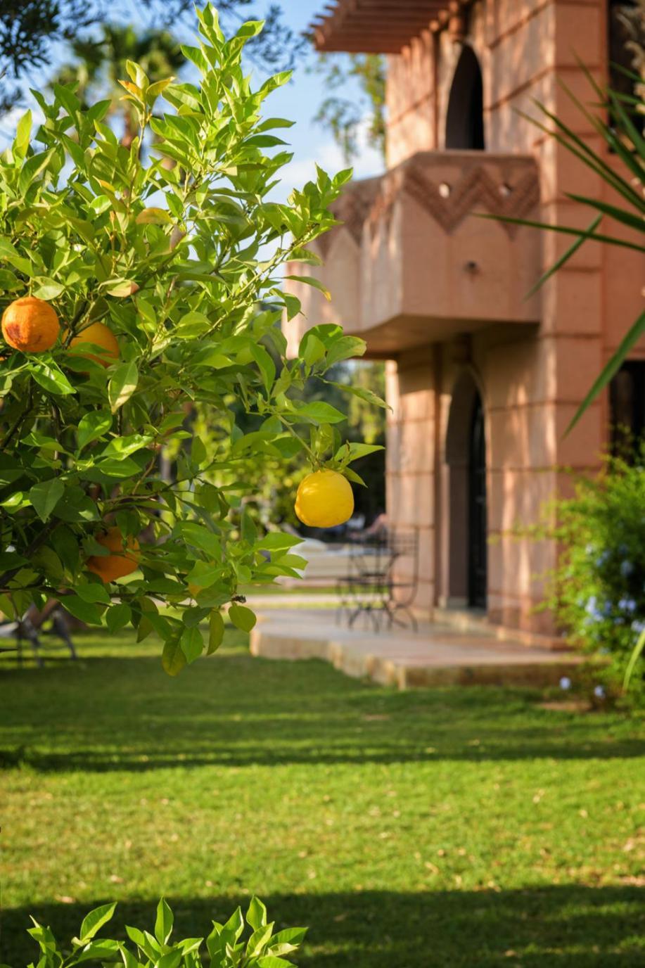 Al Assala Palmeraie Villa Marrakesh