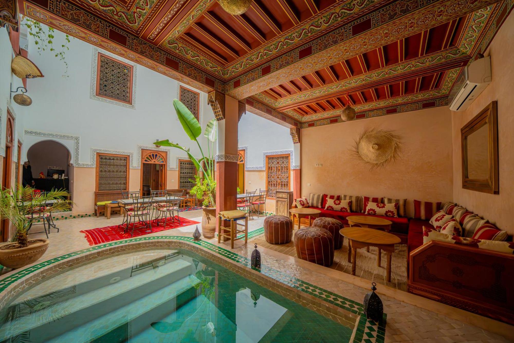 Euphorbe Marrakesh