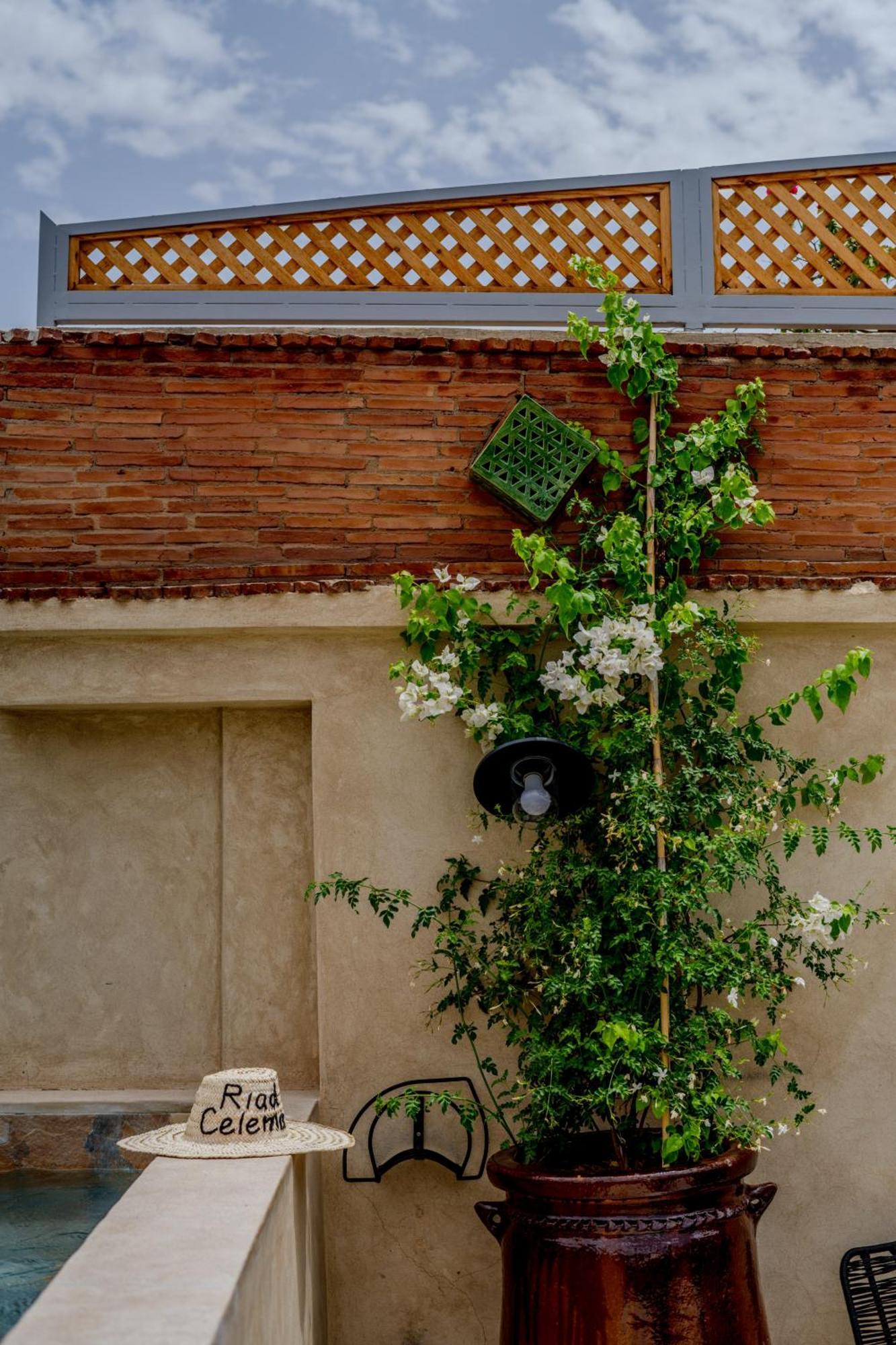 Celema & Riad Marrakesh