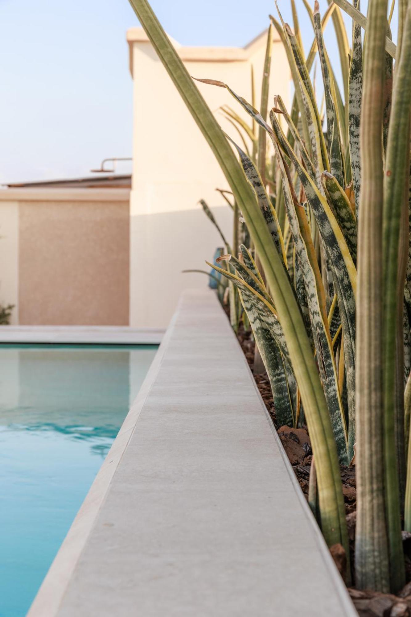 Riad Nyla Wellness And *