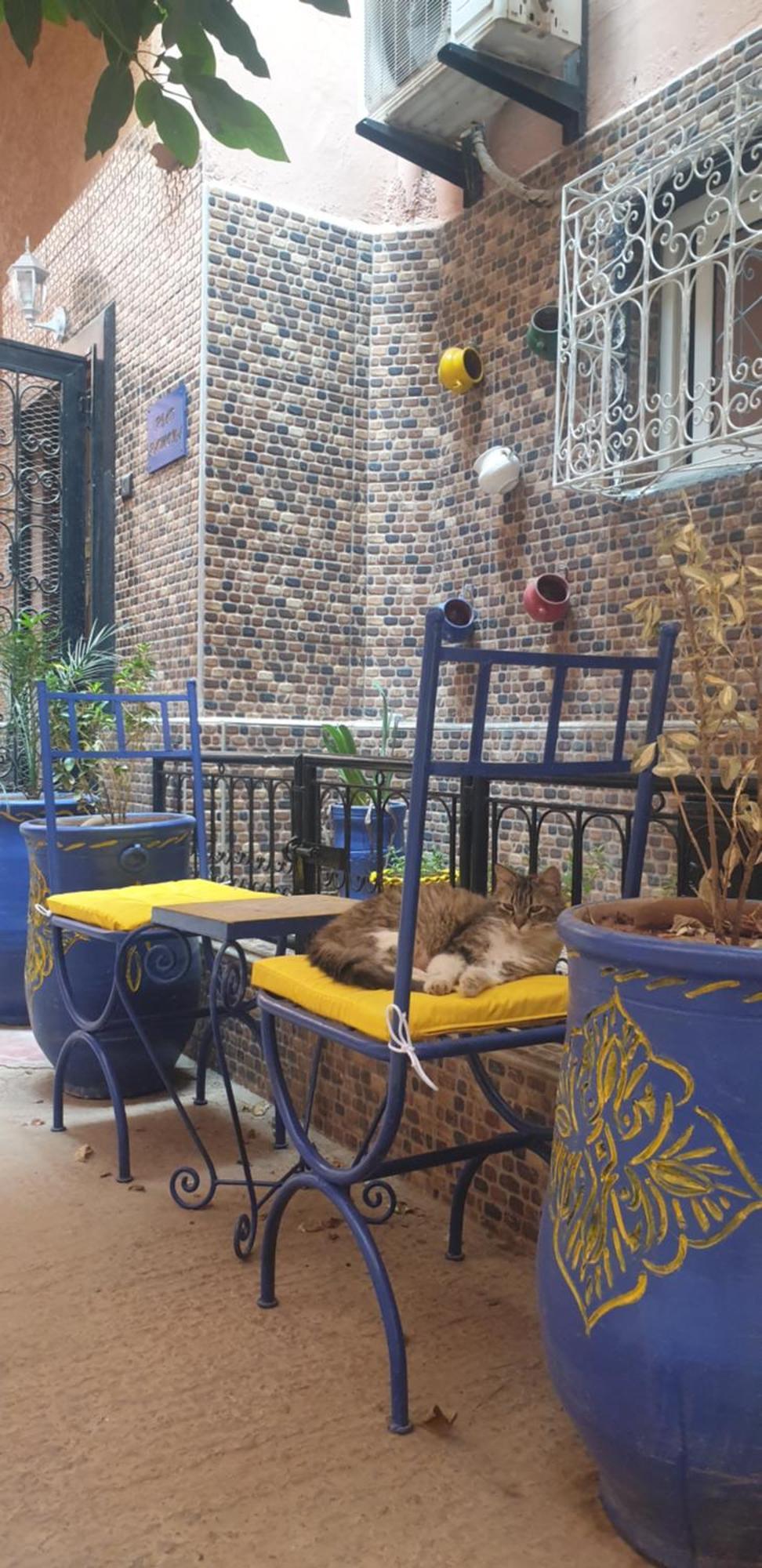 Ramona Lqariya Seyaheya Marrakesch