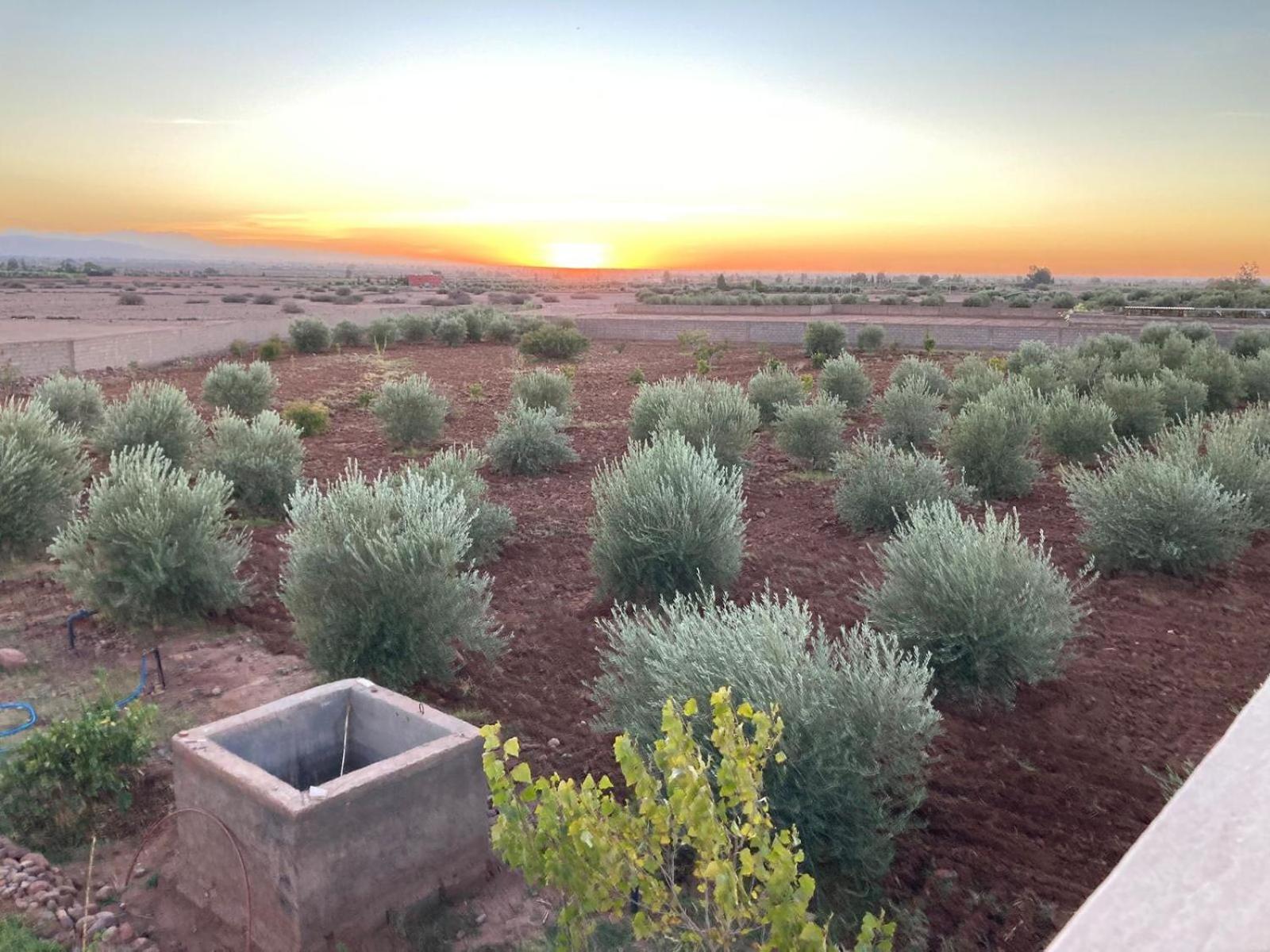 Family With Swimming Pool And A Wonderful Mountain View Villa Marrakesh