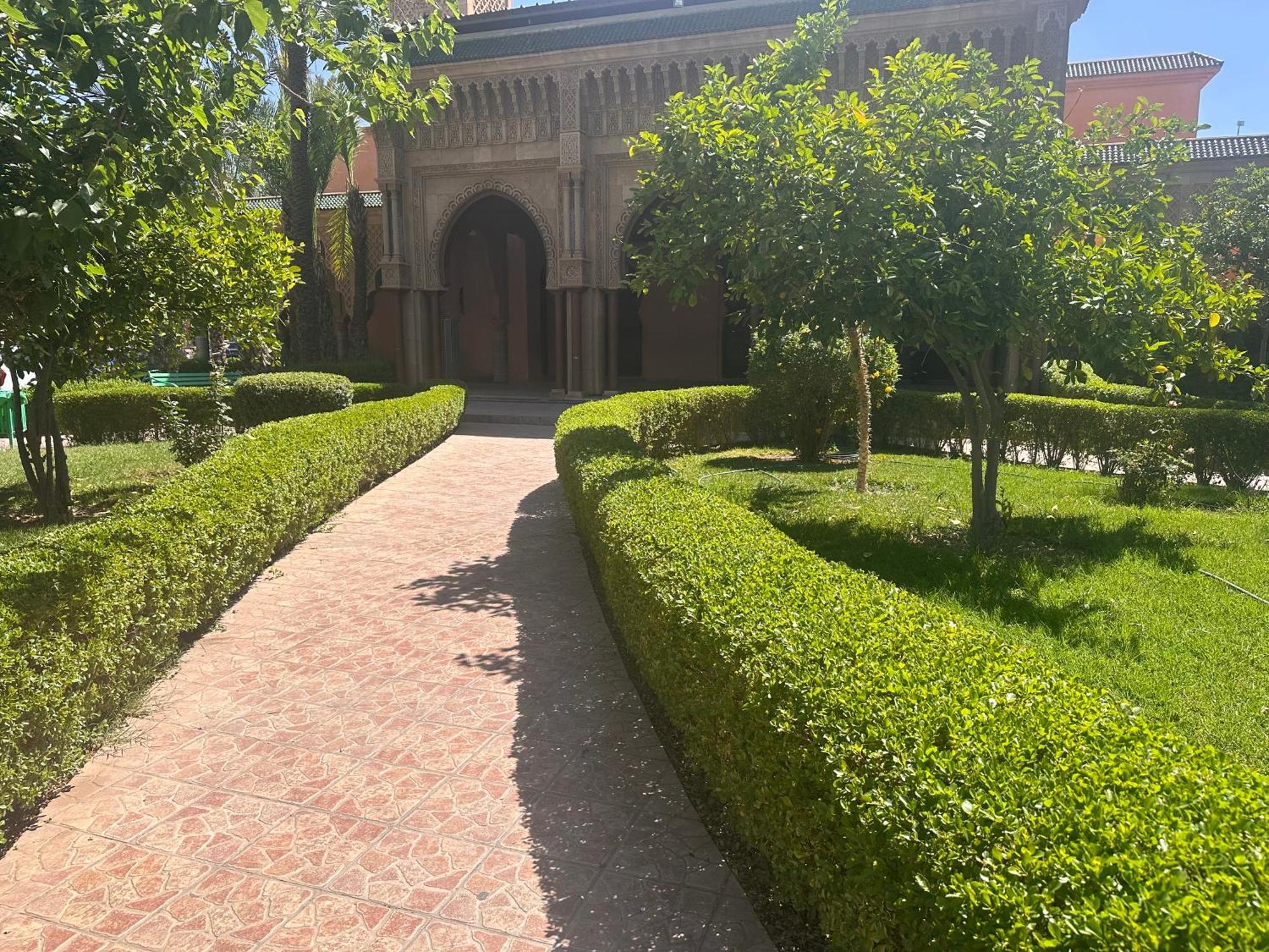 Hicham In Marrakech