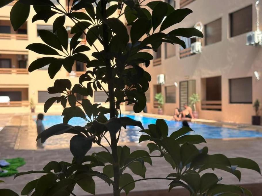 Appartement De Charme Au Coeur De Marrakech/gueliz Marrakesh