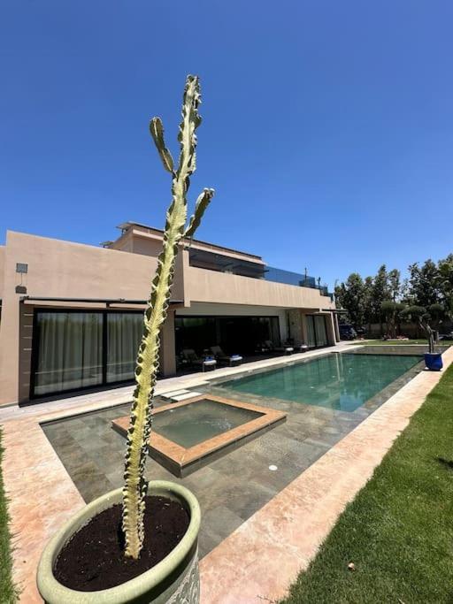 In Marrakech - 5 Suites, Heated Pool, Jacuzzi, Transportation, Volleyball & Padle Court, Complimentary Breakfast
