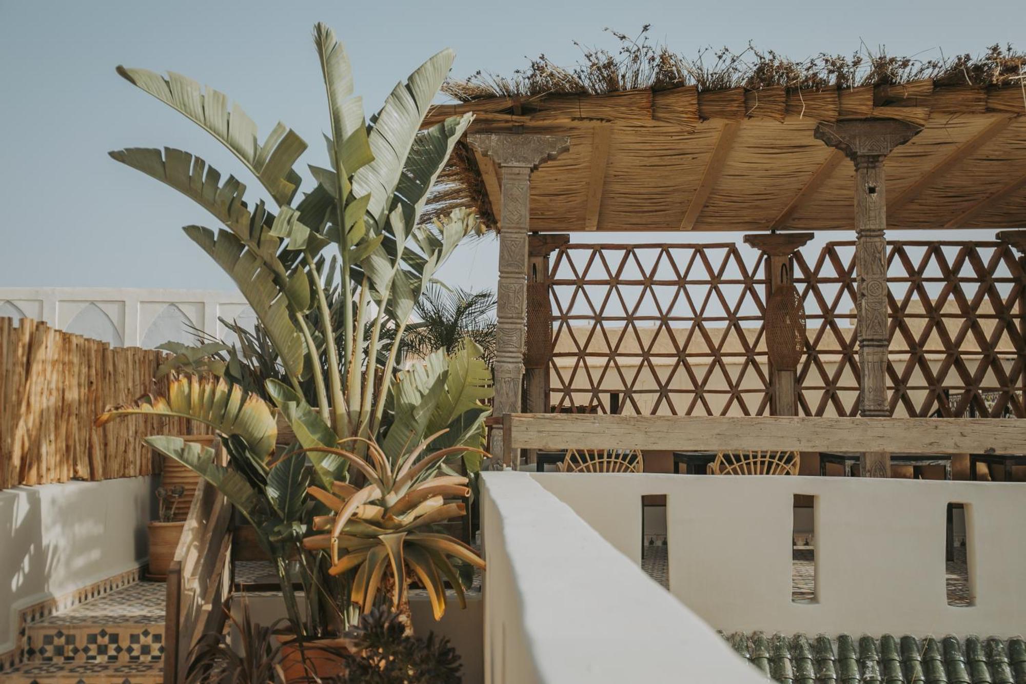 K Marrakesh