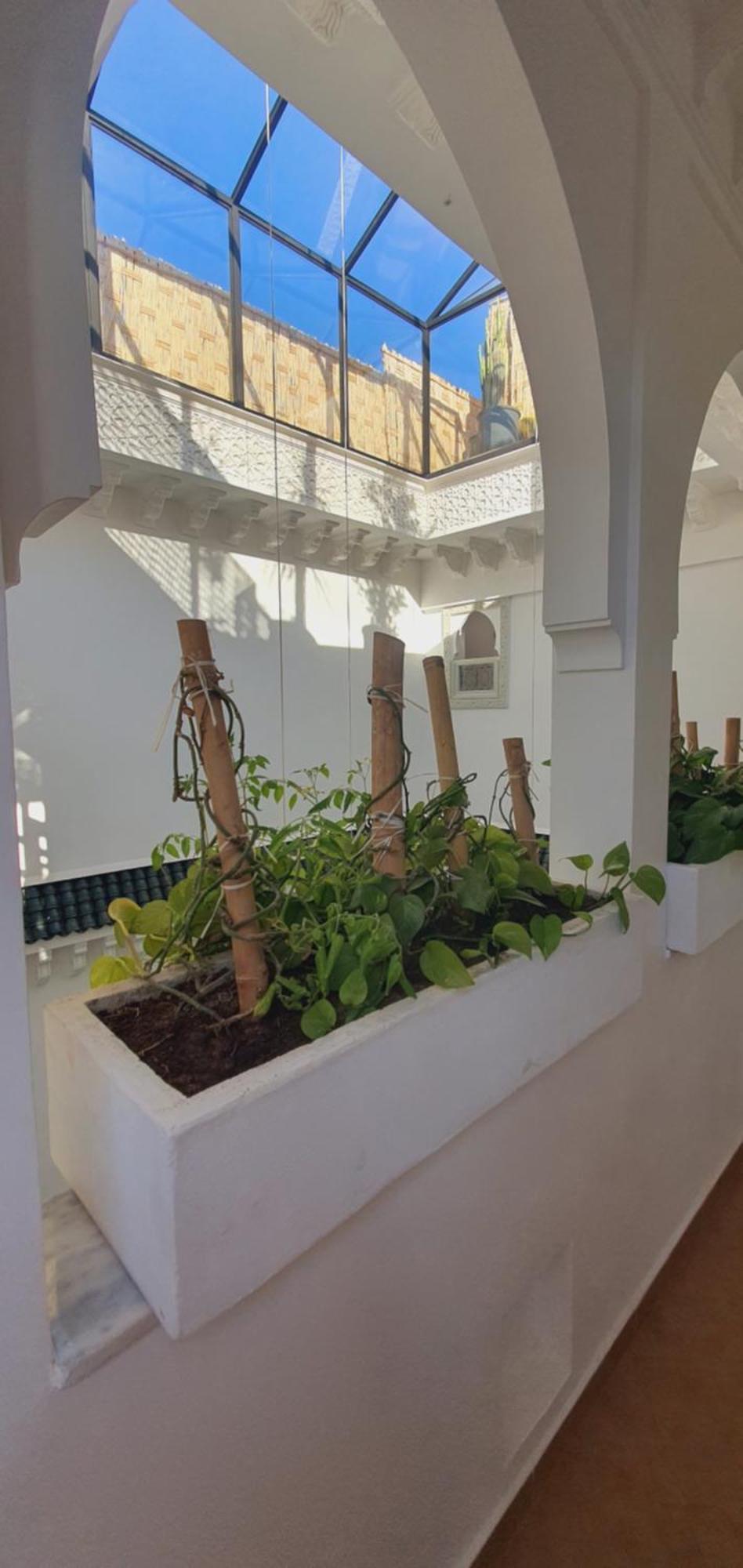 Riad M-17 & Marrakesh