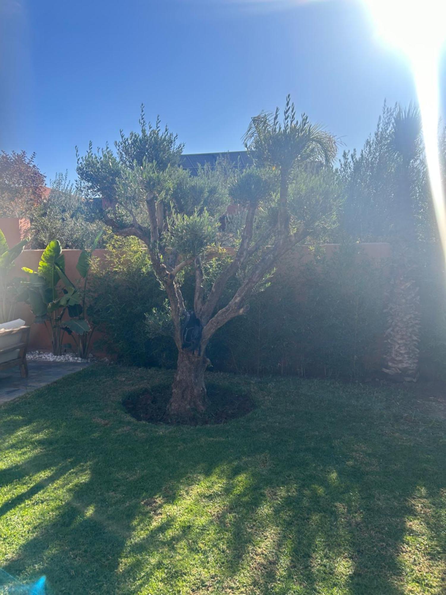 Dar Zwina Golf Amelkis Villa