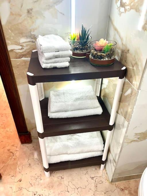Appartement De Luxe A *