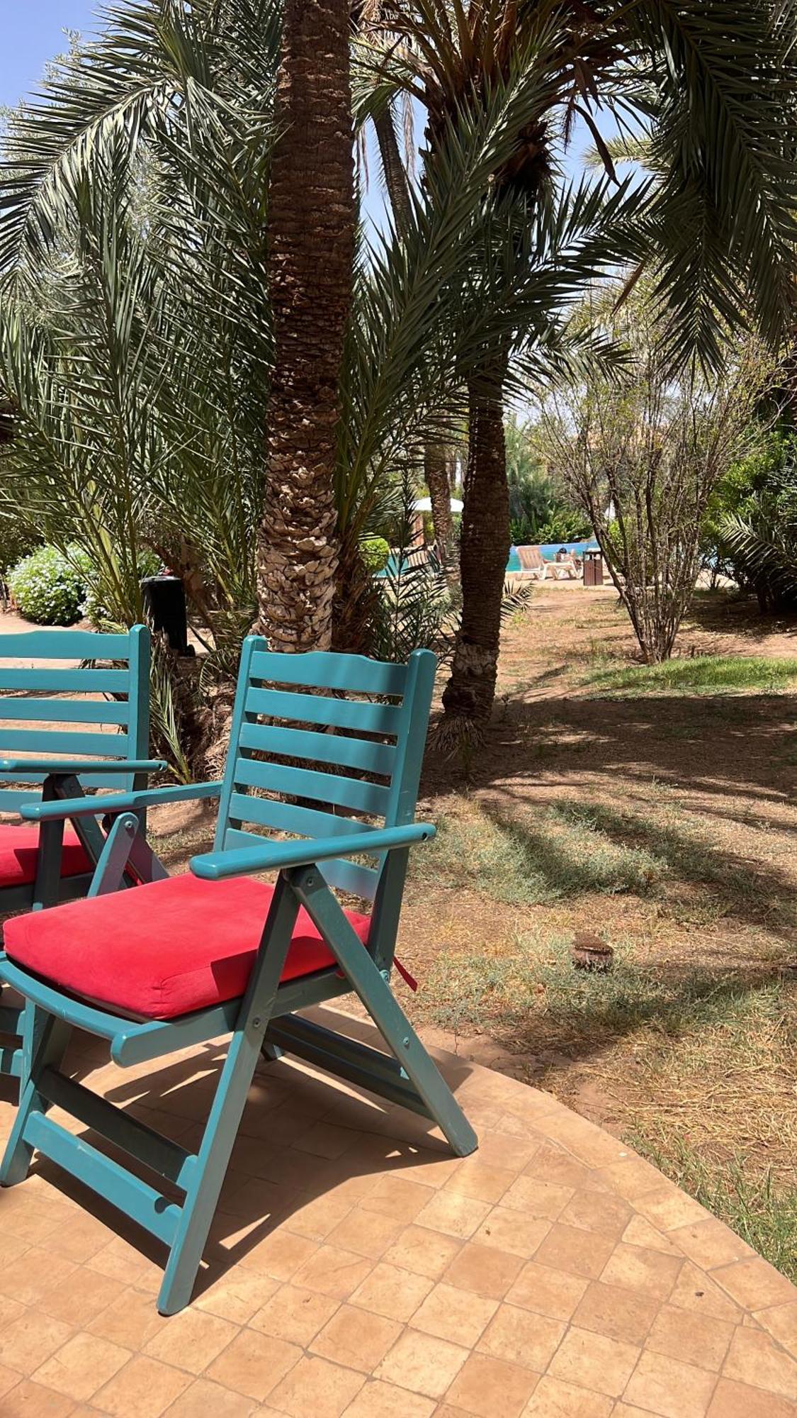 La Palmerie Avec Piscine *
