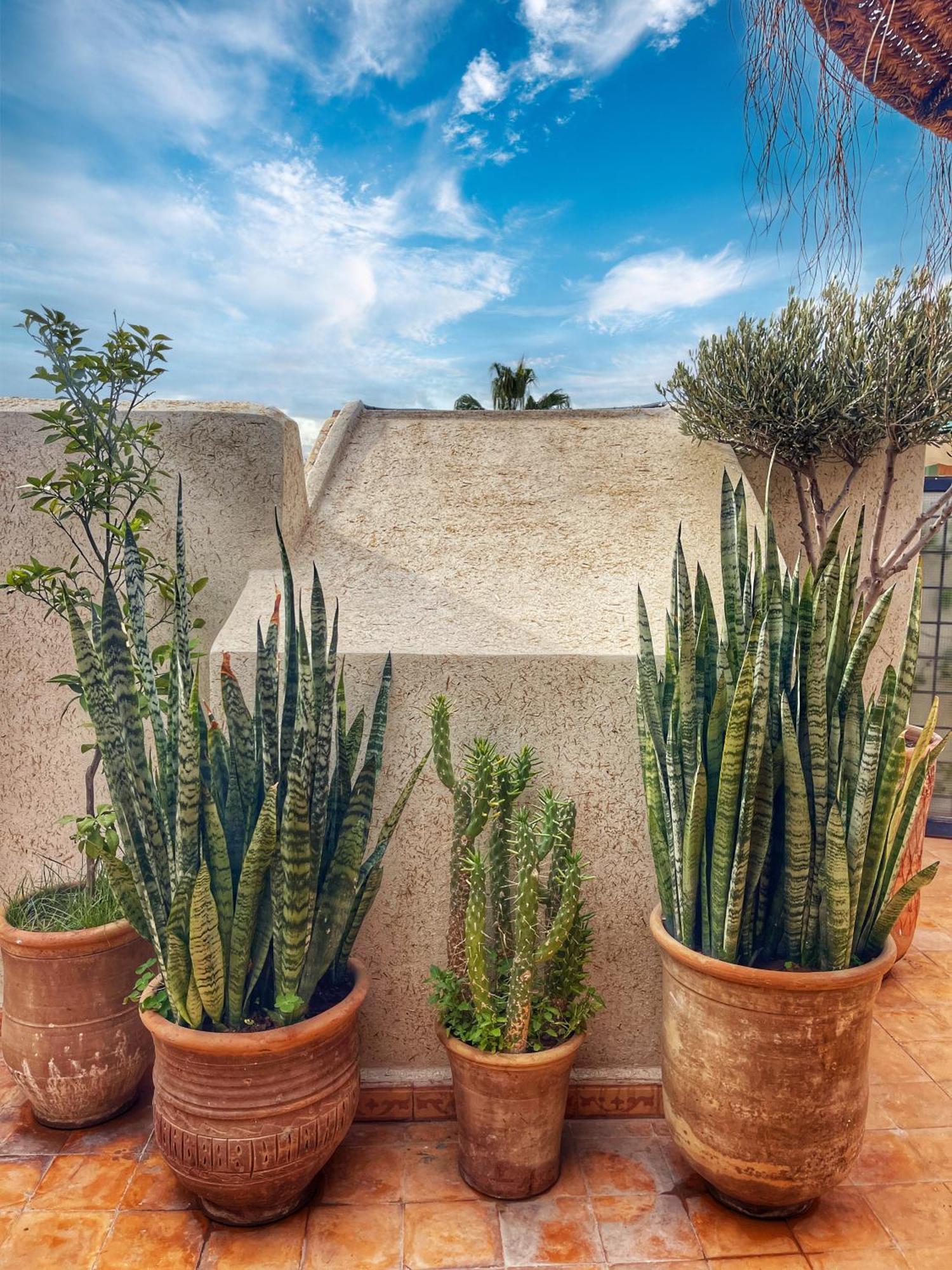 Casa vacanze Prive, 5 Et Piscine *