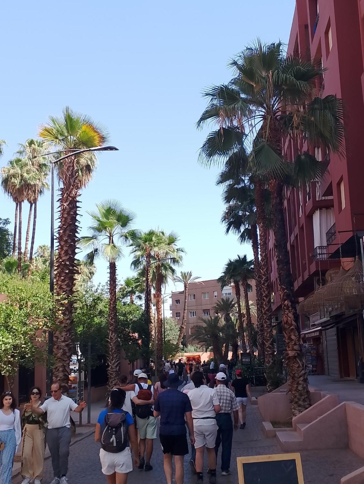 Apartamento Majorelle Garden Family With Swimming Pool And Cozy Terrace Marrakesh